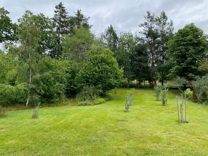 Bild av trädgården