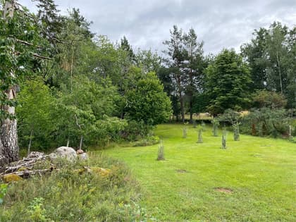 Bild av trädgården