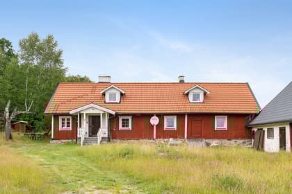 Bild av trädgården