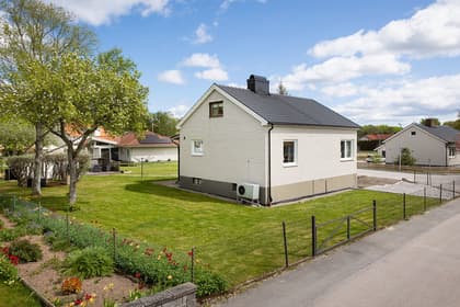 Bild av trädgården