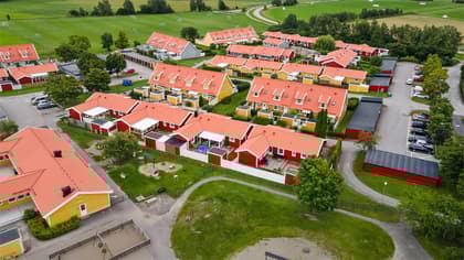 Bild av trädgården