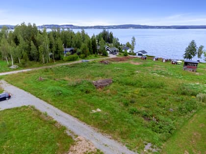 Bild av trädgården