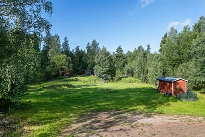 Bild av trädgården