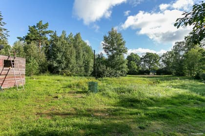 Bild av trädgården