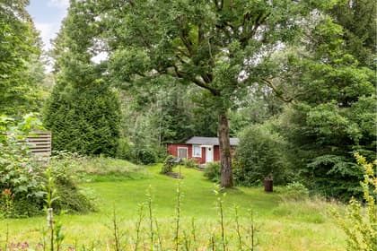 Bild av trädgården