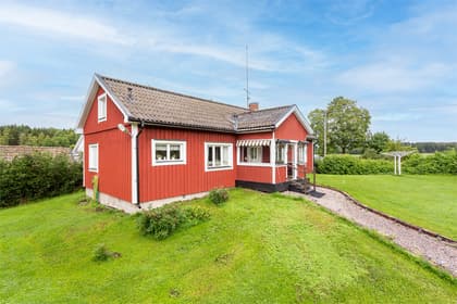 Bild av trädgården