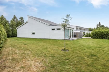 Bild av trädgården