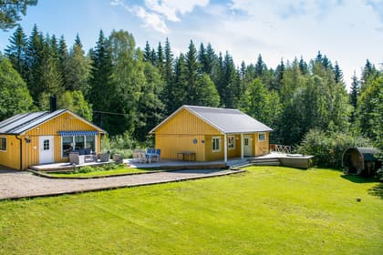 Bild av trädgården