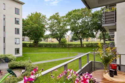 Bild av trädgården