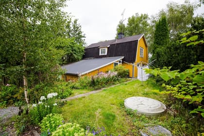 Bild av trädgården