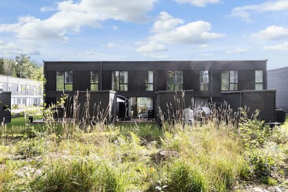 Bild av trädgården