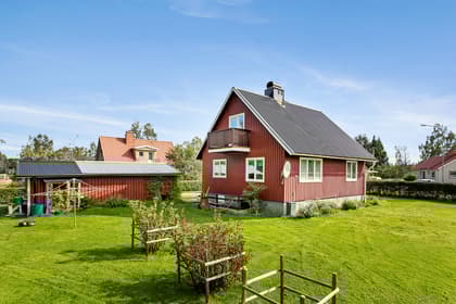 Bild av trädgården