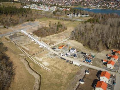 Bild av trädgården