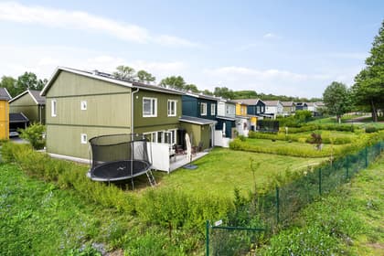 Bild av trädgården