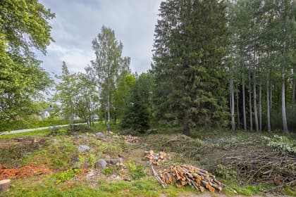 Bild av trädgården