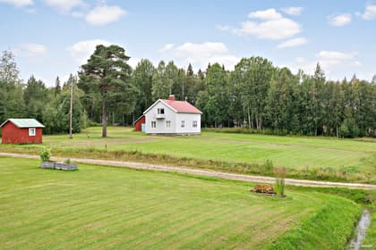 Bild av trädgården