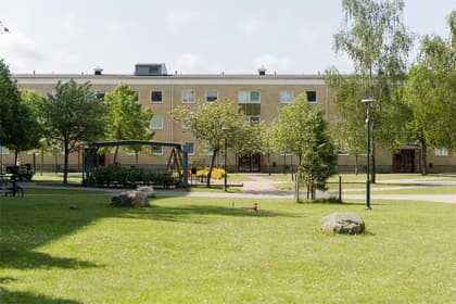 Bild av trädgården
