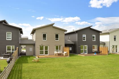 Bild av trädgården