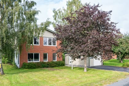 Bild av trädgården