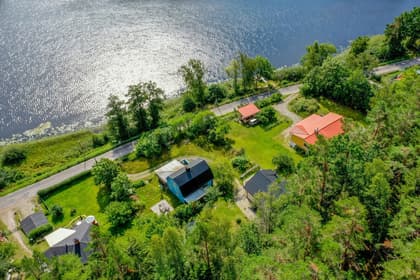 Bild av trädgården