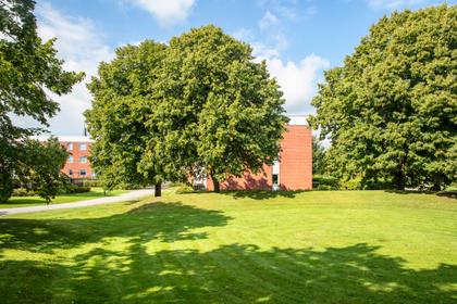 Bild av trädgården