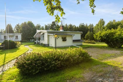 Bild av trädgården