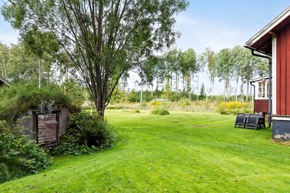 Bild av trädgården