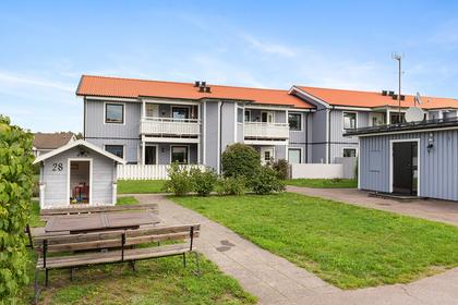 Bild av trädgården