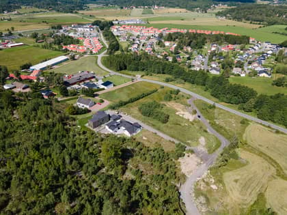 Bild av trädgården