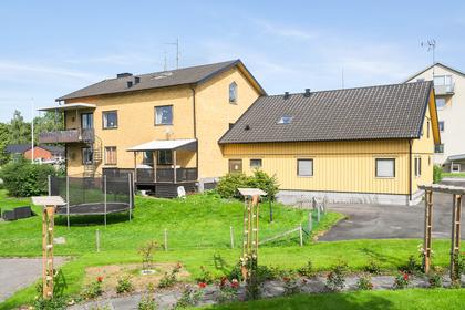 Bild av trädgården