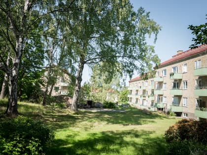 Bild av trädgården