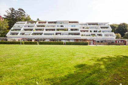 Bild av trädgården