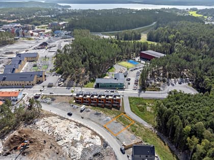 Bild av trädgården