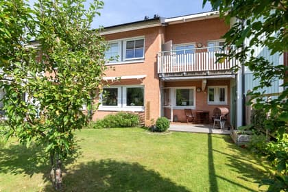 Bild av trädgården