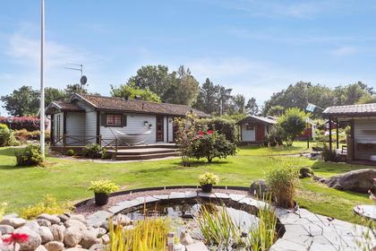 Bild av trädgården