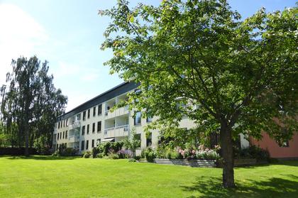 Bild av trädgården