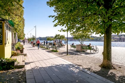 Bild av trädgården