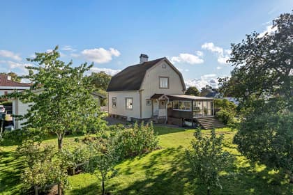 Bild av trädgården