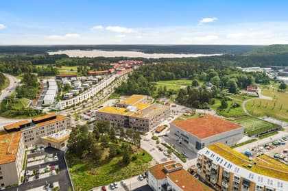 Bild av trädgården