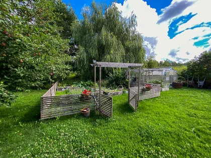 Bild av trädgården