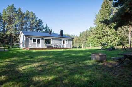 Bild av trädgården