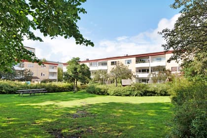 Bild av trädgården