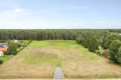 Bild av trädgården