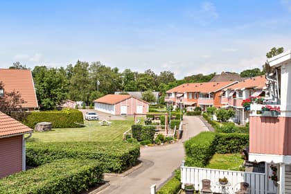 Bild av trädgården