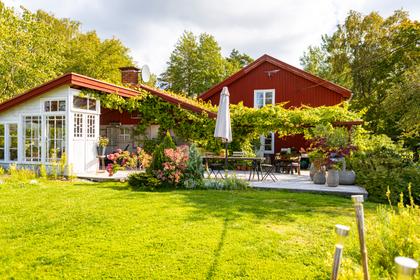 Bild av trädgården