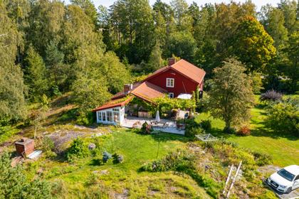 Bild av trädgården