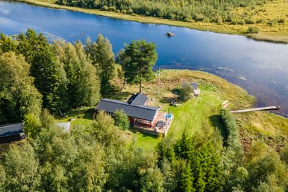 Bild av trädgården