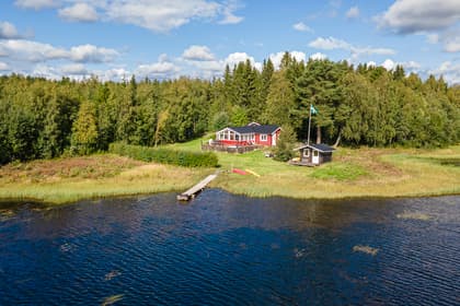 Bild av trädgården
