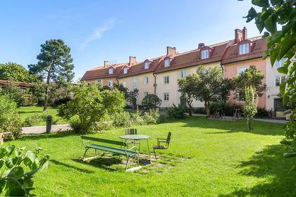 Bild av trädgården