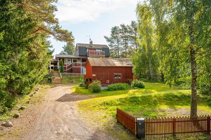 Bild av trädgården